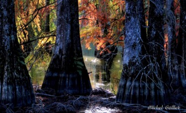 Photographie intitulée "Etang de Boulieu en…" par Michel Guillet, Œuvre d'art originale