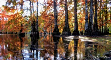 Photographie intitulée "Etang de Boulieu en…" par Michel Guillet, Œuvre d'art originale