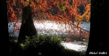 Photographie intitulée "Etang de Boulieu en…" par Michel Guillet, Œuvre d'art originale