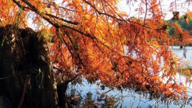 Photographie intitulée "Etang de Boulieu en…" par Michel Guillet, Œuvre d'art originale