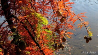 Photographie intitulée "Etang de Boulieu en…" par Michel Guillet, Œuvre d'art originale