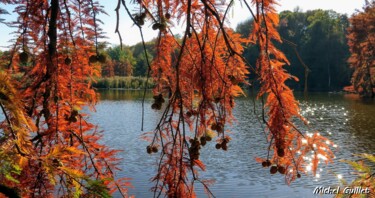 Photographie intitulée "Etang de Boulieu en…" par Michel Guillet, Œuvre d'art originale