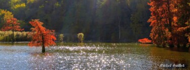 Photographie intitulée "Etang de Boulieu en…" par Michel Guillet, Œuvre d'art originale
