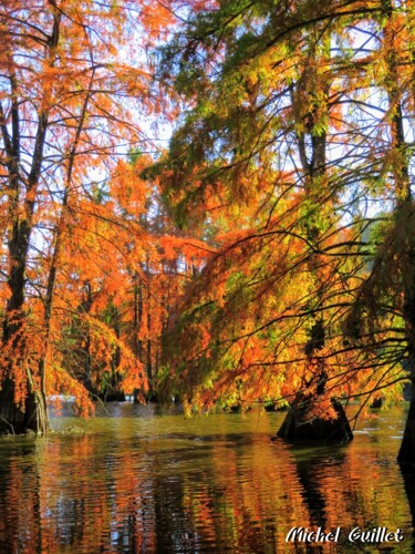 Photographie intitulée "Etang de Boulieu en…" par Michel Guillet, Œuvre d'art originale
