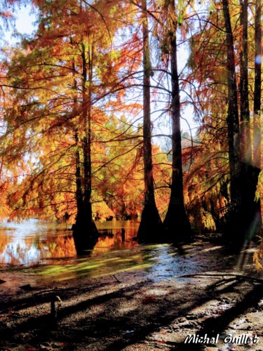 Photographie intitulée "Etang de Boulieu en…" par Michel Guillet, Œuvre d'art originale