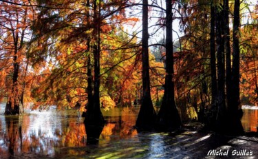 Photographie intitulée "Etang de Boulieu en…" par Michel Guillet, Œuvre d'art originale
