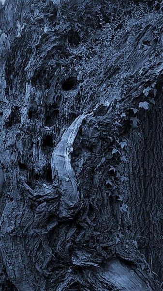"shades 2" başlıklı Fotoğraf Cometp tarafından, Orijinal sanat