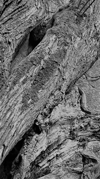 "shades 5" başlıklı Fotoğraf Cometp tarafından, Orijinal sanat