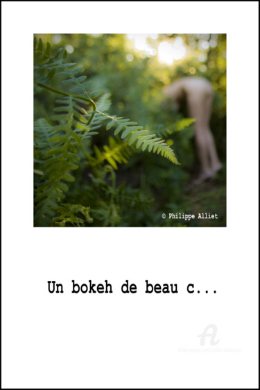Photographie intitulée "Perché 002 ! - (Le…" par Alliet-Delacroix, Œuvre d'art originale, Photographie numérique