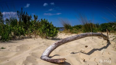 Photographie intitulée "Posé sur le sable .…" par Thierry Magliulo (Th.Mag), Œuvre d'art originale