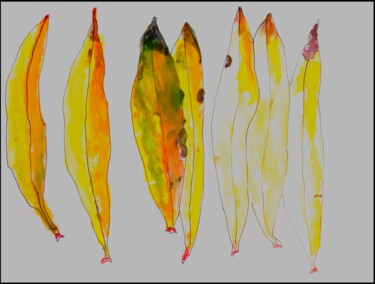 MA COLLECTION DE FEUILLES DE LAURIER ROSE... Pittura intitolato "MA COLLECTION DE FE…" da Jean-Paul Vignes, Opera d'arte originale, Acquarello