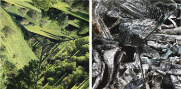 Photographie intitulée "Diptyque - dialogue…" par Benoit Delomez, Œuvre d'art originale