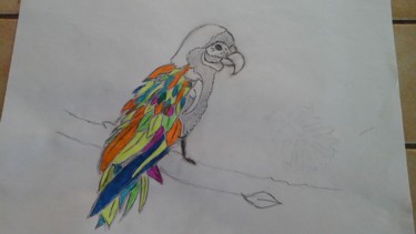 Dessin de perroquet