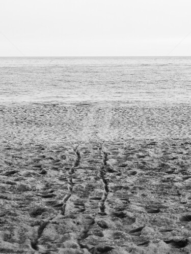 LA DISPARITION