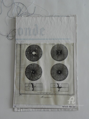 Collages intitulée "Livre_journal_curio…" par Hélène Mongin, Œuvre d'art originale, Découpages