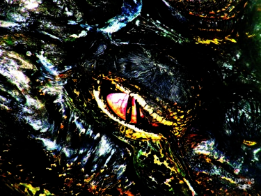 OEIL FERME ALIGATOR BAY Photographie intitulée "OEIL FERME ALIGATOR…" par Esprit Libre, Œuvre d'art originale