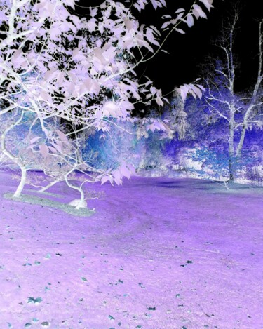 摄影 标题为“arbres-bleus.jpg” 由Jean-Pierre Duquaire, 原创艺术品