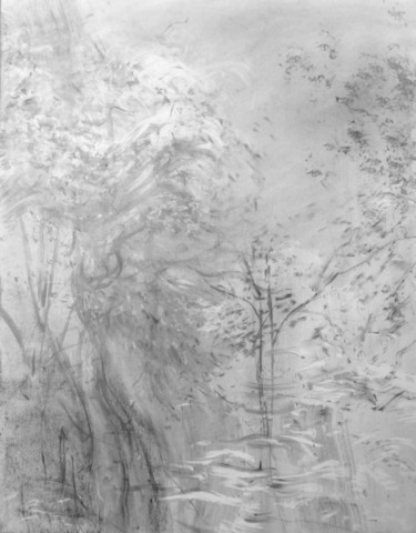 Dessin intitulée "reflets" par Sébastien Bocquet, Œuvre d'art originale
