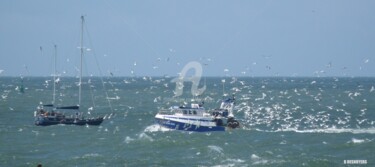 Retour de pêche au Havre