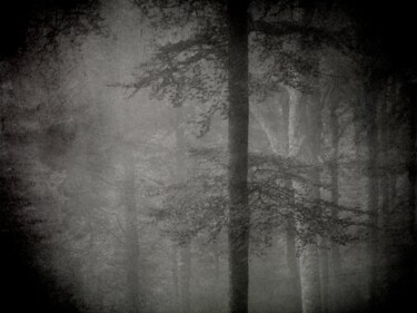 Photography titled "Une Visitation...." by Philippe Berthier, Original Artwork, Digital Photography