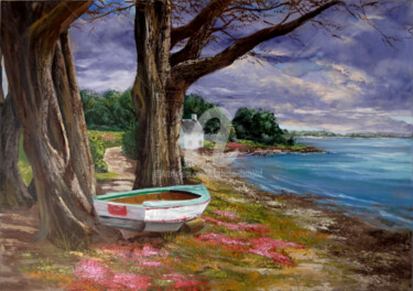 Peinture intitulée "lile-aux-moines.jpg" par Nathalie Armand, Œuvre d'art originale, Huile