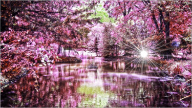 Photo de nature refaite à ma façon 1