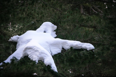 Photographie intitulée "Le  Yeti" par Isabelle Pautrot, Œuvre d'art originale