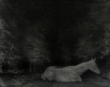 Dessin intitulée "1-apparition.jpg" par Sébastien Bocquet, Œuvre d'art originale