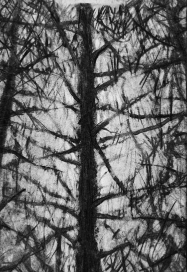 Dessin intitulée "9.jpg" par Sébastien Bocquet, Œuvre d'art originale