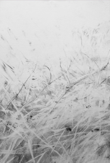 Dessin intitulée "11.jpg" par Sébastien Bocquet, Œuvre d'art originale