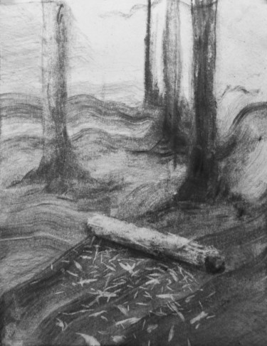 Dessin intitulée "12.jpg" par Sébastien Bocquet, Œuvre d'art originale