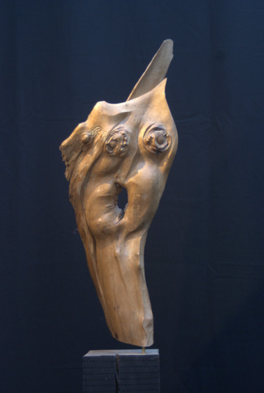 Sculpture intitulée "Transmutation" par Bernard Chenu, Œuvre d'art originale, Bois