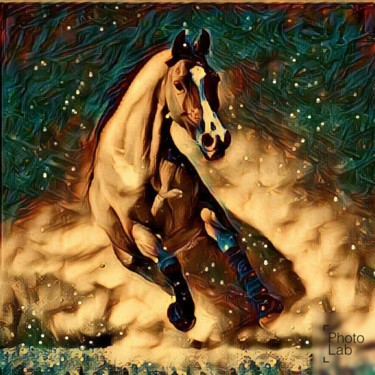 Très belle photo de cheval transformer