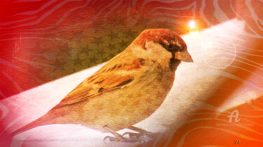 Digital Arts titled "Decorated Bird" by Aurelio Nicolazzo, Original Artwork, 2D Digital Work