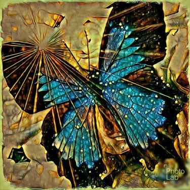 Mon papillon lumineux
