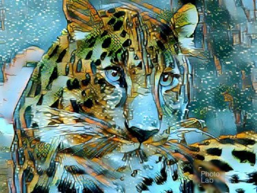 Un tigre dans toute sa splendeur