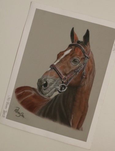 Painting titled "Cavalo" by Patricia Silva, Original Artwork, Pastel