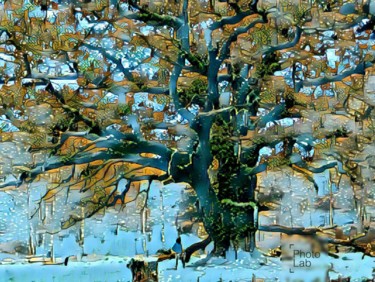 Un arbre dans toute sa splendeur