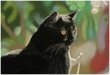 Painting titled "Ticha" by Patrice Preveirault, Original Artwork, Pastel