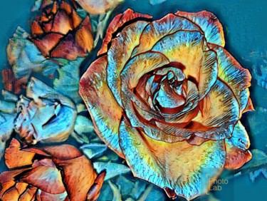 Des roses version flofloyd