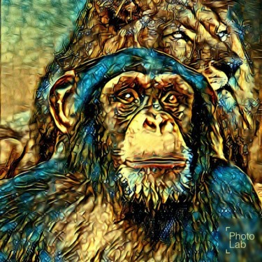 L amitié d un singe et d un lion