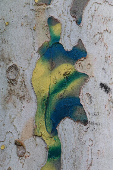 제목이 "Grimage 2 - img-158…"인 사진 Jacques Jégo로, 원작