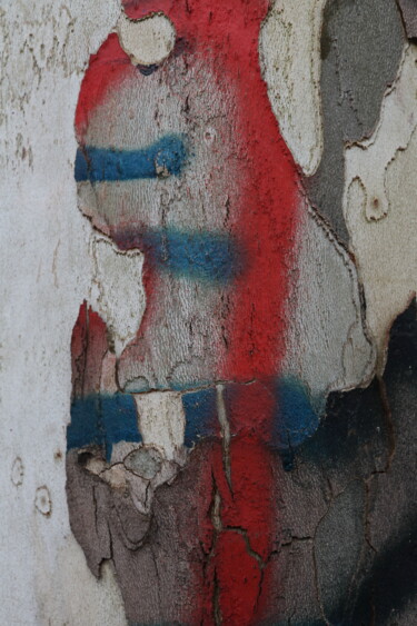 제목이 "Grimage 3 - img-159…"인 사진 Jacques Jégo로, 원작