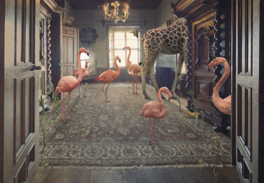 Arte digital titulada "Mindfulness for beg…" por Nikolina Petolas, Obra de arte original, Foto-montaje