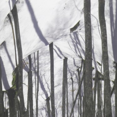 Digital Arts titled "rêve d'hiver" by Ln Le Cheviller, Original Artwork, 2D Digital Work