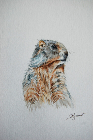 Painting titled "petite marmotte - a…" by Patricia Giroldini Hyvernat, Original Artwork, Watercolor