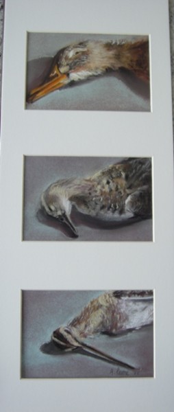 Drawing titled "canard, sarcelle, b…" by Agnes Corre, Original Artwork, Pastel
