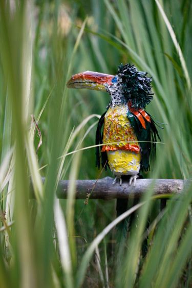 Sculpture intitulée "ARACARI DE  BEAUHAR…" par Gillsman, Œuvre d'art originale