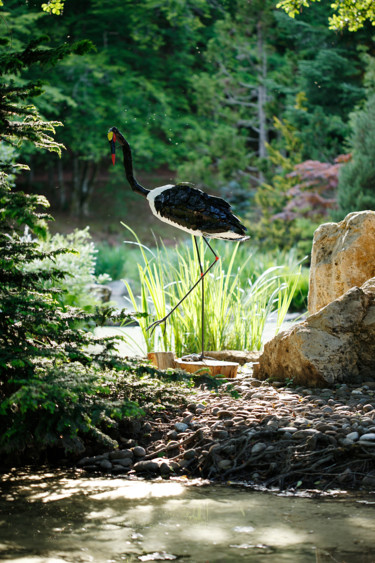 Sculpture intitulée "JABIRU du SENEGAL" par Gillsman, Œuvre d'art originale