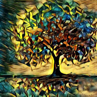 Un arbre dans toute sa splendeur 1